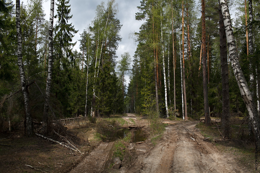 Вот так сейчас выглядит место, где когда-то находился скит
