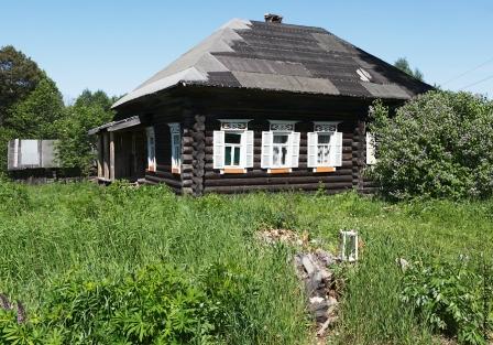 Около сосны стоит относительно целая изба. Живет ли в ней кто — сомневаюсь...