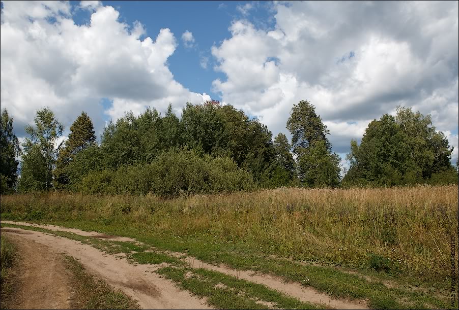 Скит Новый Шарпан не такой старый и был основан в середине XIX века после "выгонки" Старого Шарпана - одного из первых скитов на Керженце. Основан он был у могилы преподобной Февронии, которая, по поверью, источала в первый день Пасхи целебную воду. Скит был закрыт в 1928 году... Сейчас он выглядит вот так. Да, небольшой лесок в огромном поле.
