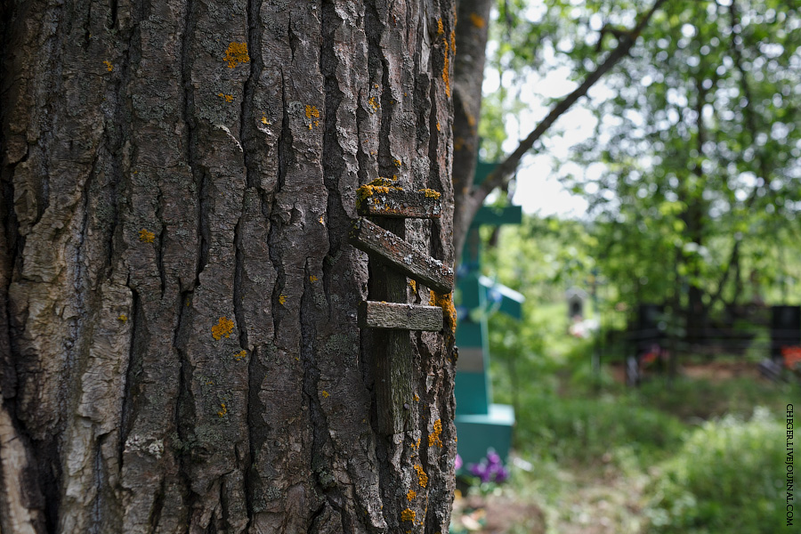 Рядом старообрядческое кладбище. Почему-то очень часто вот такие небольшие восьмиконечные кресты я наблюдаю на деревьях