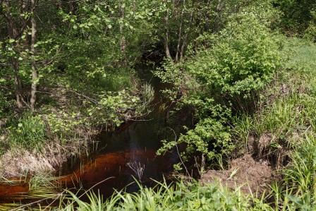 Чуть ниже течет небольшая речушка, на берегу которой и жил отец Никандрий