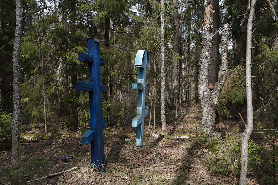 Сейчас кладбище выглядит вот так