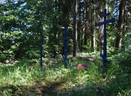 Немного в стороне от деревни располагается то самое кладбище, где видны ещё старые голбцы